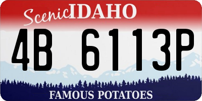 ID license plate 4B6113P