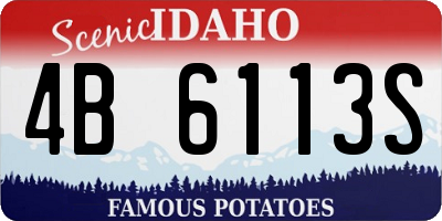 ID license plate 4B6113S