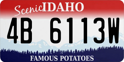 ID license plate 4B6113W