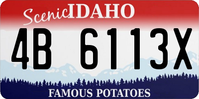 ID license plate 4B6113X