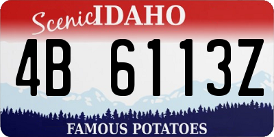 ID license plate 4B6113Z