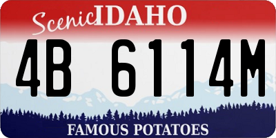 ID license plate 4B6114M