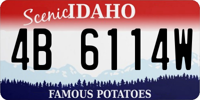 ID license plate 4B6114W