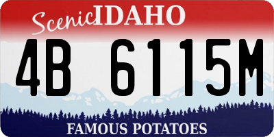 ID license plate 4B6115M