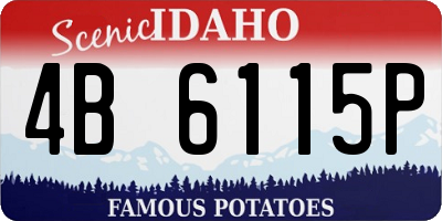 ID license plate 4B6115P