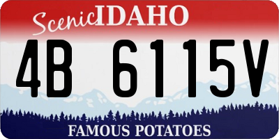 ID license plate 4B6115V