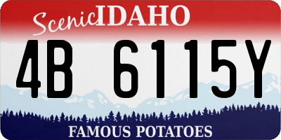 ID license plate 4B6115Y