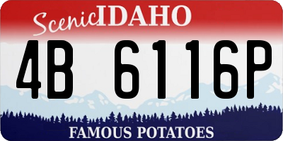 ID license plate 4B6116P