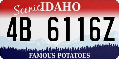 ID license plate 4B6116Z