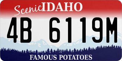 ID license plate 4B6119M