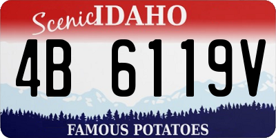 ID license plate 4B6119V