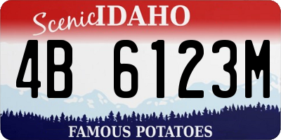 ID license plate 4B6123M