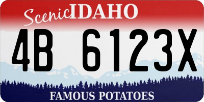 ID license plate 4B6123X