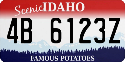 ID license plate 4B6123Z