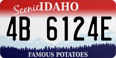 ID license plate 4B6124E