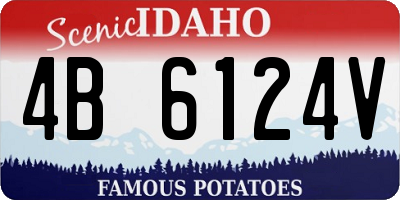 ID license plate 4B6124V