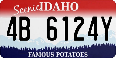 ID license plate 4B6124Y