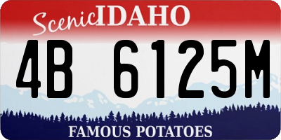 ID license plate 4B6125M