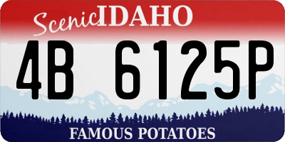 ID license plate 4B6125P