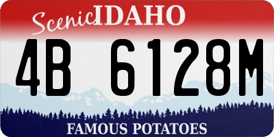 ID license plate 4B6128M