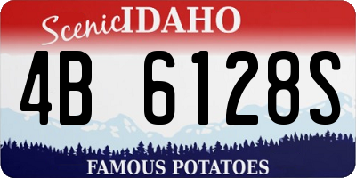 ID license plate 4B6128S