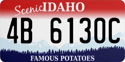 ID license plate 4B6130C