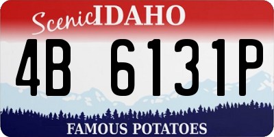 ID license plate 4B6131P