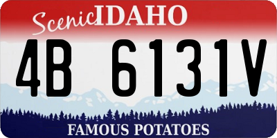 ID license plate 4B6131V
