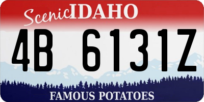 ID license plate 4B6131Z