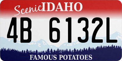 ID license plate 4B6132L