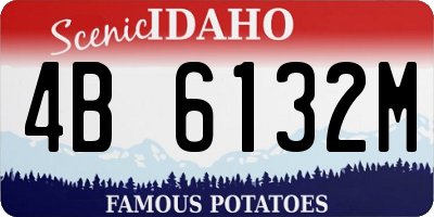 ID license plate 4B6132M