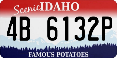 ID license plate 4B6132P