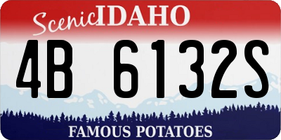 ID license plate 4B6132S