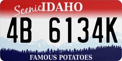 ID license plate 4B6134K