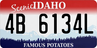 ID license plate 4B6134L