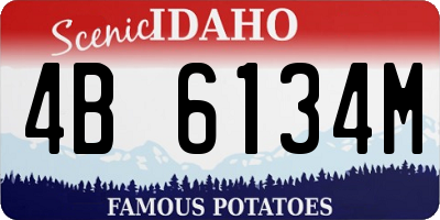 ID license plate 4B6134M