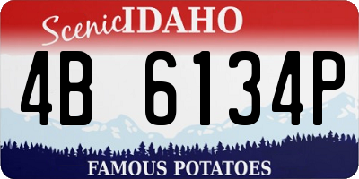 ID license plate 4B6134P