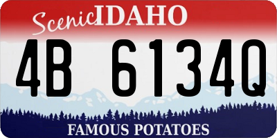 ID license plate 4B6134Q