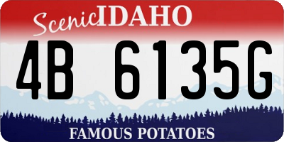 ID license plate 4B6135G