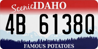 ID license plate 4B6138Q