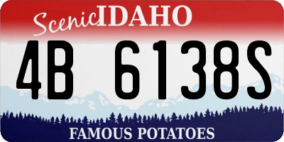 ID license plate 4B6138S