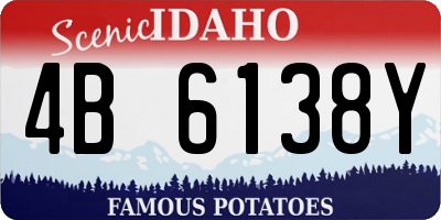 ID license plate 4B6138Y