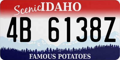 ID license plate 4B6138Z