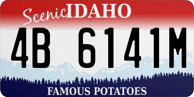ID license plate 4B6141M