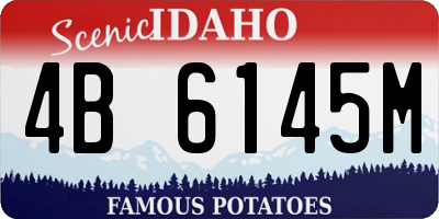 ID license plate 4B6145M