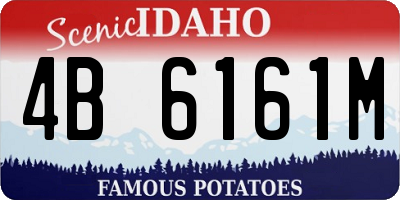ID license plate 4B6161M