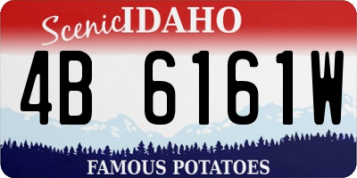 ID license plate 4B6161W