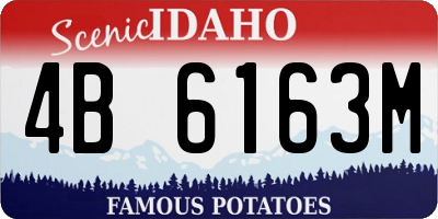 ID license plate 4B6163M