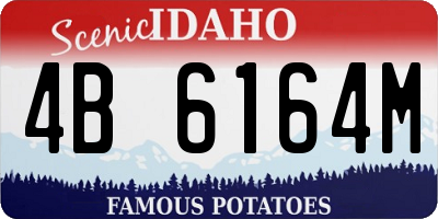 ID license plate 4B6164M