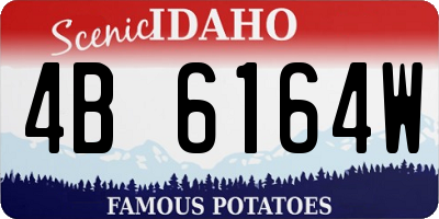 ID license plate 4B6164W